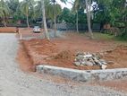 කඳන දොලහේන පාරට මුහුණලා අගනා බිම් කොටස්