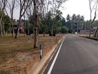 කනන්විල හන්දියට 400m හොඳම තැනක් පදිංචියට