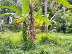 කන්තලේ – වාන්ඇල ප්‍රදේශයෙන් වටිනා ඉඩමක් විකිණීමට!