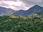 Knuckles Mountain Range View Land in Hunnasgiriya