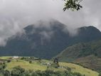 Knuckles Mountain View Land in Hunnasgiriya