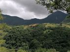 Knuckles Range View 43 Perch Tourism Land for Sale in Hunnasgiriya
