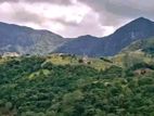 Knuckles Range View Land for Sale Hunnasgiriya