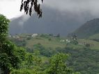 Knuckles Range View Land for Sale in Hunnasgiriya