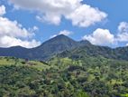 Knuckles Range View Land in Hunnasgiriya