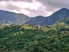 Knuckles Range View Land in Hunnasgiriya
