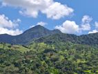 Knuckles Range View Land in Hunnasgiriya