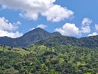 Knuckles Range View Land in Hunnasgiriya