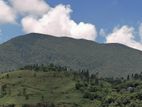 Knuckles Range View Land in Hunnasgiriya