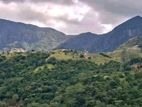 Knuckles Range View Land in Hunnasgiriya