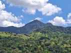 Knuckles Range View Land in Hunnasgiriya