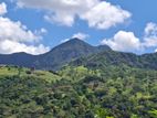 Knuckles Range View Land in Hunnasgiriya