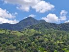Knuckles Range View Land in Hunnasgiriya