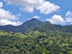 Knuckles Range View Land in Hunnasgiriya