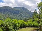 Knuckles Range View Land in Hunnasgiriya