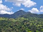Knuckles Range View Land in Hunnasgiriya