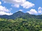 Knuckles Range View Land in Hunnasgiriya