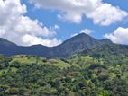 Knuckles Range View Land in Hunnasgiriya