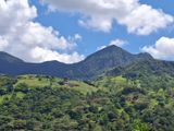 Knuckles Range View Land in Hunnasgiriya