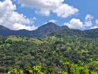 Knuckles Range View Land in Hunnasgiriya