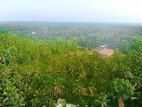 කොබේගනේ විතිකුලිය පාරට ලගම ඉඩමක්