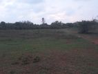 Kochchikade - Beachfront Land for sale