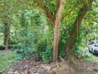Kochchikade Residencial Land for Sale
