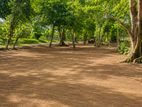 Koggala Lake Facing Best Waterfront Land Plots