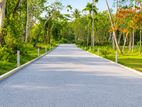 Koggala Lake Front Land Plots