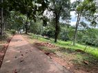 Koggala Land for Sale