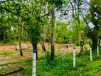 කොග්ගල ඔයට මුහුණ ලා සුන්දර බිම් කොටස් රැසක්