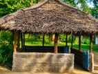 කොග්ගලින් අගනා ඉඩමක්