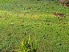 Kohuwala : 34.40 Perch Prime land Sale facing woodland mawatha