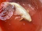 Koi Calf