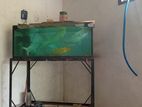 Fish Tank Full Set with Koi