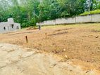 කොළඹ 5 පාරට ආසන්නව වටිනා බිම්කොටස් 2ක්