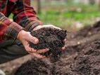 Compost Soil බඳුන් මිශ්රණය