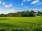 කොළඹ ඇඹුල්ගම ප්රදේශයෙන් අගනා නේවාසික ඉඩම් කැබලි 2ක් විකිණීමට ඇත