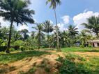 කොළඹ දෙල්ගොඩ 225 බස් පාරට ආසන්නව බිම්කොටස් විකිණීමට