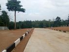 කොළඹ නුවර පාරට නුදුරින් 20p ඉඩමක් විකිණීමට ඇත Kalagedihena