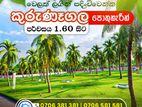 කොළඹ පාරට සමීපයෙන් බස් පාරකට මුහුණලා  ඉඩමක්