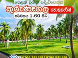 කොළඹ පාරට සමීපයෙන් බස් පාරකට මුහුණලා  ඉඩමක්