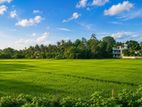 කොළඹින් පර්චස් 06ක සුපිරි ඉඩමක්
