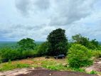 කොළඹට ආසන්නව සරුසාරවත් පොල් වගාව සමඟ 360° View Point එකක් / KK 16199