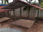 Dog Cage