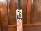 Kookabura Senior Cricket Bat