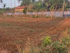கோப்பாயில் காணி விற்பனைக்கு