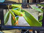 Koorui 27 Inch LED Monitor