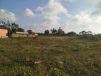 Land for sale in Nallur
