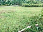 Koralaima Area Land For Sale